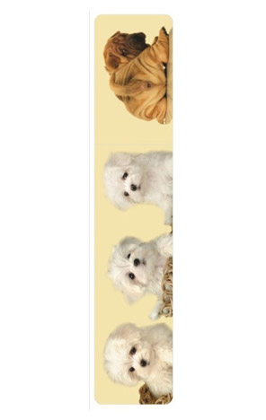 Image alt text